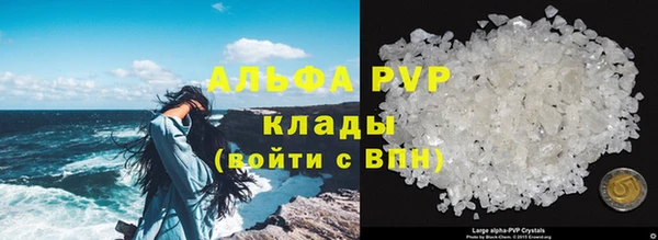гидра Алзамай