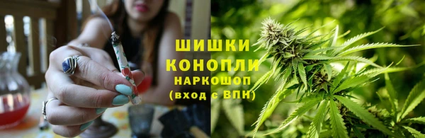 гидра Алзамай