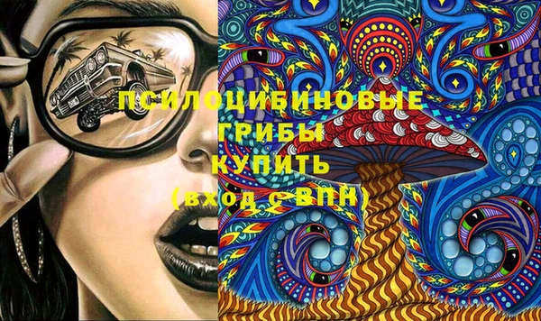 гидра Алзамай