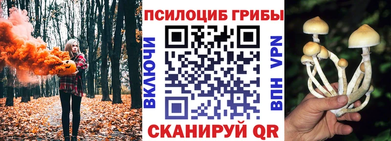 Псилоцибиновые грибы Psilocybe Спасск